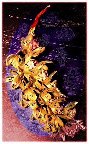passionflower 02