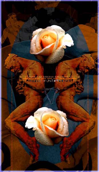 passionflower 04