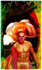 passionflower 10