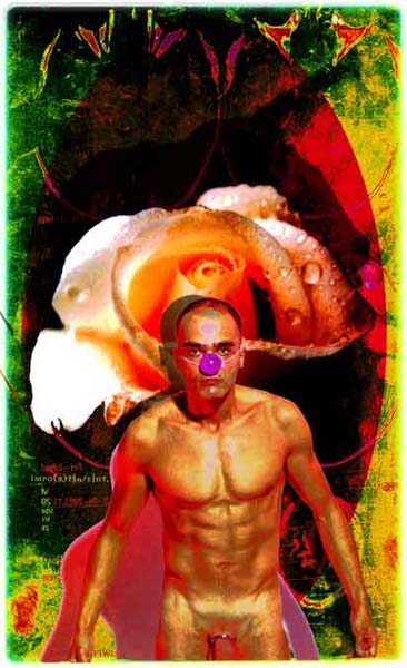 passionflower 10