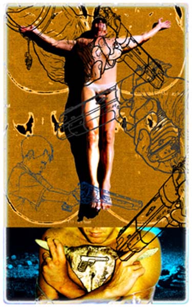 passionflower 12