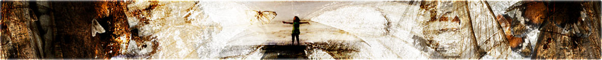 Wings 01