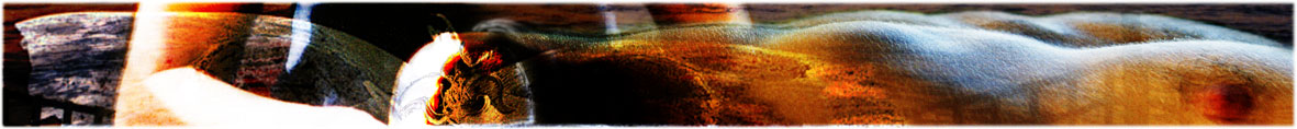 Wings 03
