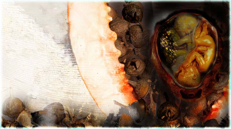 threshold 13