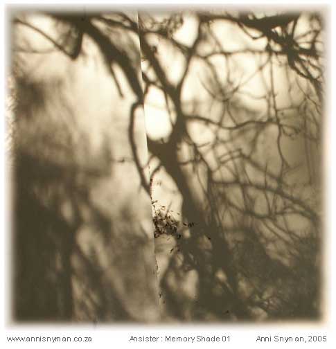 Memory Shade 01