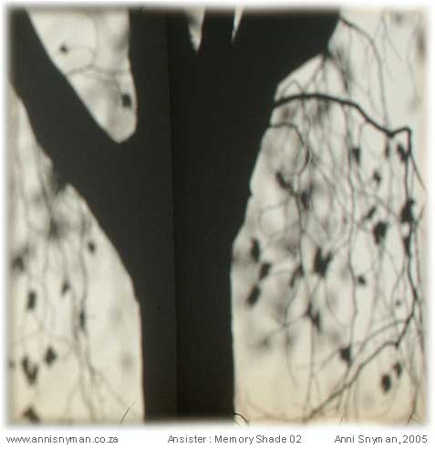 Memory Shade 02