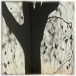 Memory Shade 02