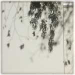 Memory Shade 03