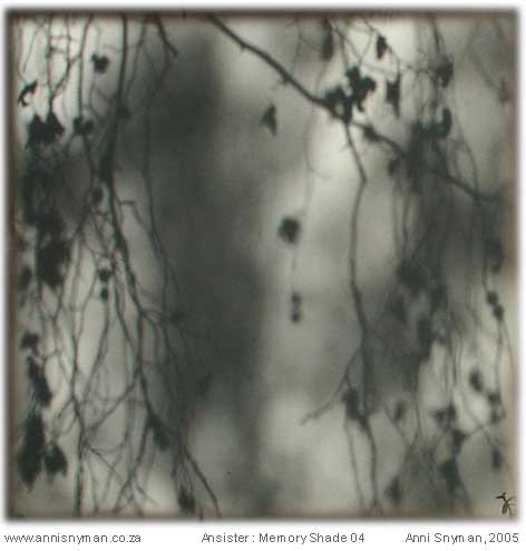 Memory Shade 04