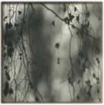 Memory Shade 04