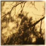 Memory Shade 05