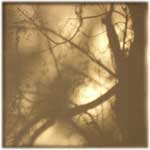 Memory Shade 06