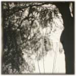 Memory Shade 07