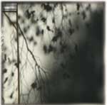 Memory Shade 08