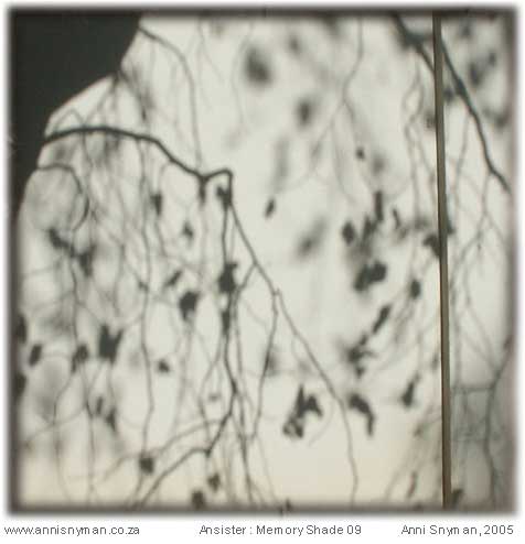 Memory Shade 09