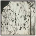 Memory Shade 09