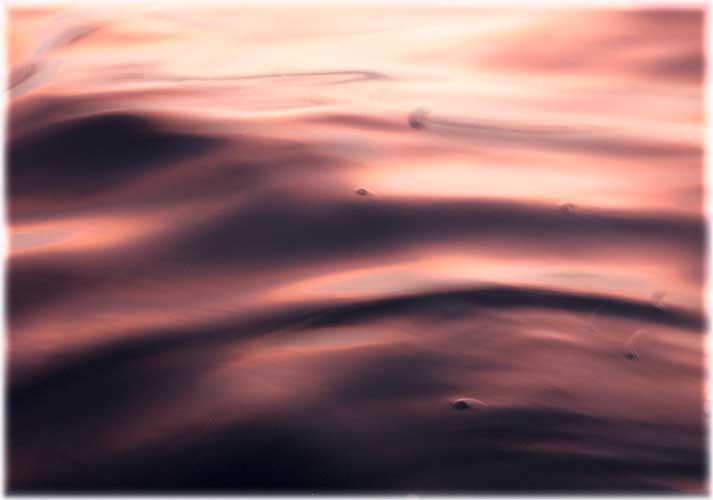 sailboat on sea
