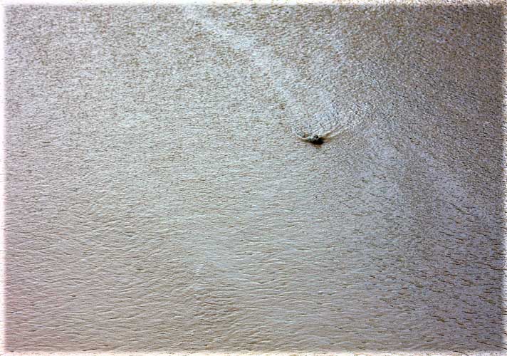 sailboat on sea