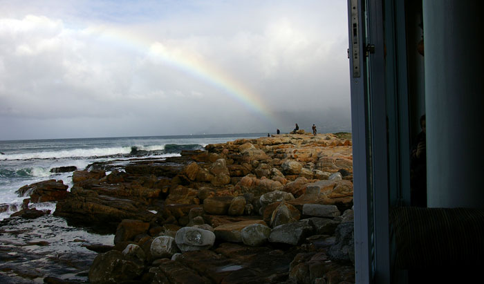 55 Pilot Whales' Rainbow