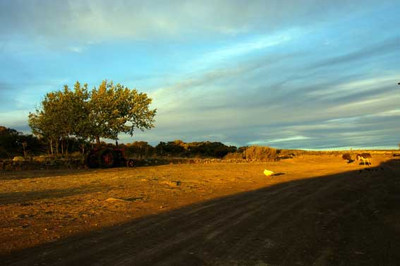 Blesfontein