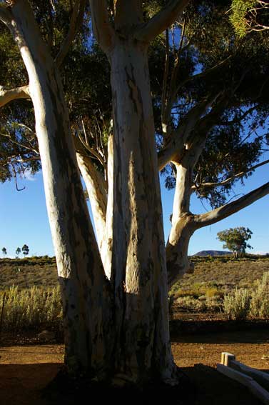 Matjiesfontein
