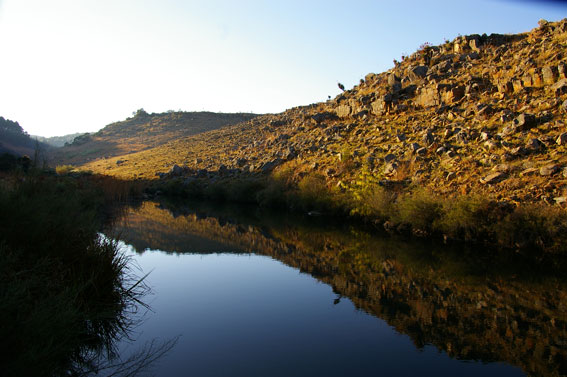 Blesfontein