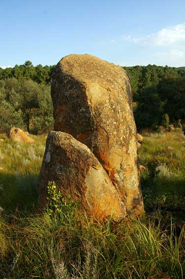 whale rock