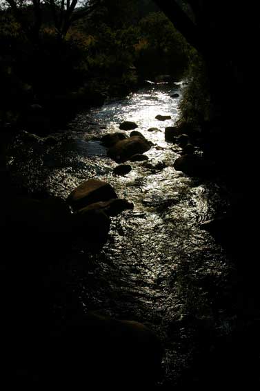 rocky stream