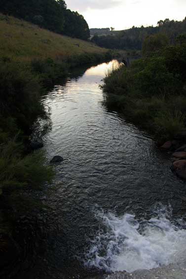 stream