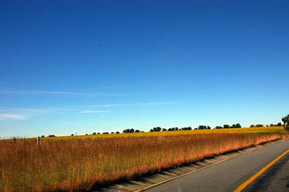 Road