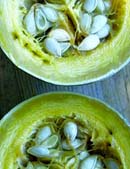 claudia bowl 03