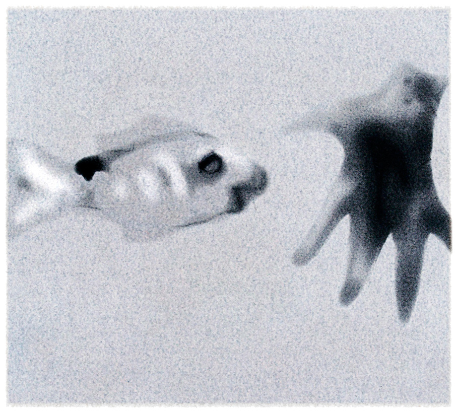 Touch perceives itself 